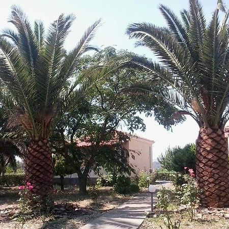 Oasis Studios Skala Kallonis Luaran gambar