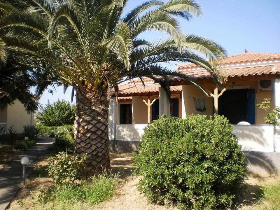 Oasis Studios Skala Kallonis Luaran gambar