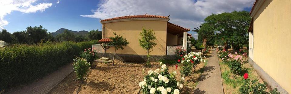 Oasis Studios Skala Kallonis Luaran gambar