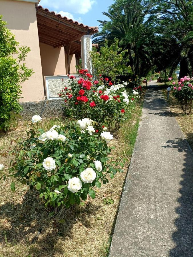 Oasis Studios Skala Kallonis Luaran gambar