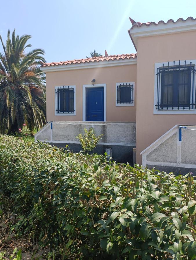 Oasis Studios Skala Kallonis Luaran gambar